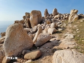 Exploring majestic beauty of Rock Park at Nui Chua National Park